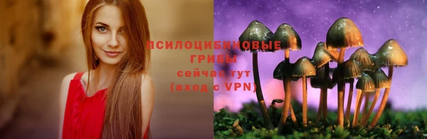 гашик Лиски