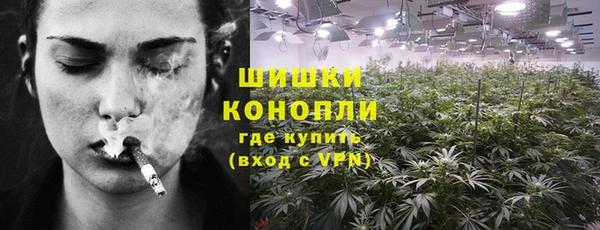 гашик Лиски
