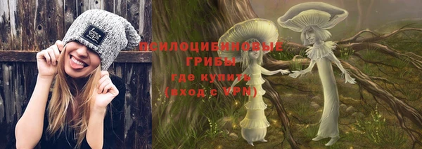 гашик Лиски