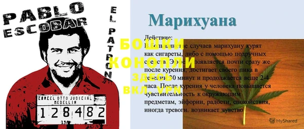 гашик Лиски