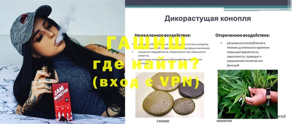 гашик Лиски
