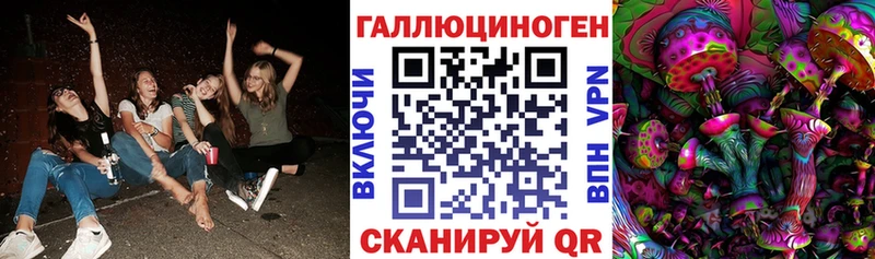 мега tor  Николаевск  Галлюциногенные грибы Psilocybe 